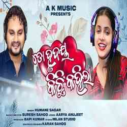 To Hrudaya Kichi Kahila